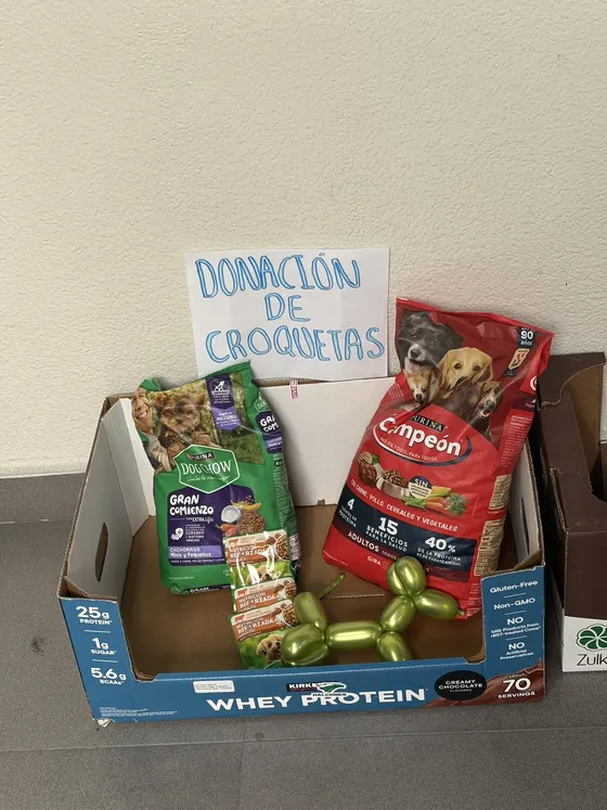 Foto 1 de la jornada: campaña de donación de croquetas.