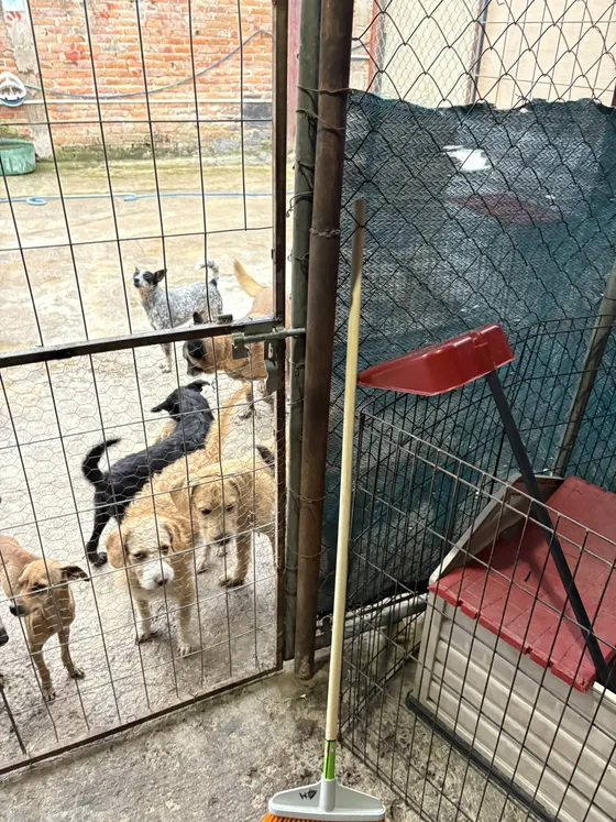 Foto 4 de la jornada: visita al refugio.