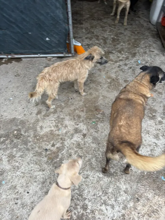 Foto 5 de la jornada: visita al refugio.