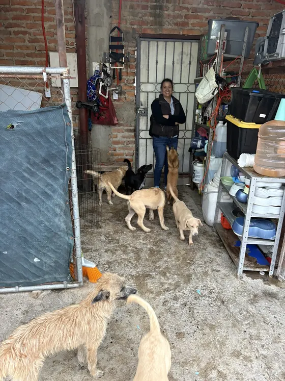 Foto 21 de la jornada: visita al refugio.