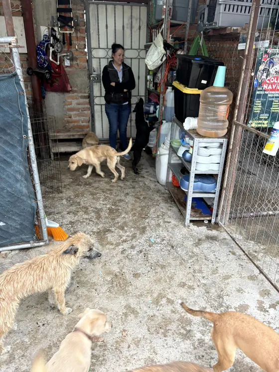 Foto 25 de la jornada: visita al refugio.